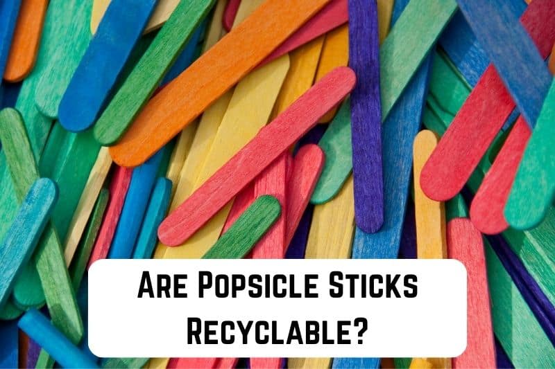 Are Popsicle Sticks Recyclable? (Find Out) - Conserve Energy Future